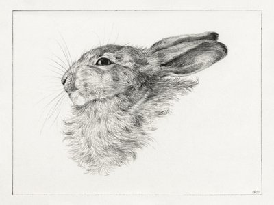 Head of a Rabbit by Jean Bernard