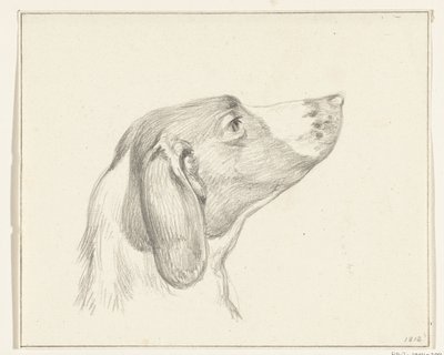 Head of a Dog, Facing Right by Jean Bernard