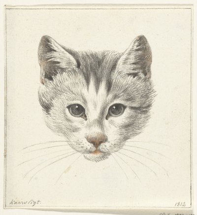 Head of a Cat, Seen from the Front by Candlelight by Jean Bernard