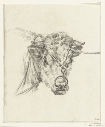 Head of a Cow with a Ring through its Nose by Jean Bernard
