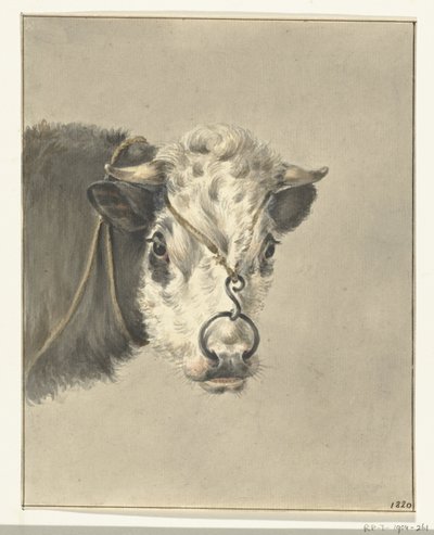 Head of a Cow, with a Ring through the Nose, from the Front by Jean Bernard