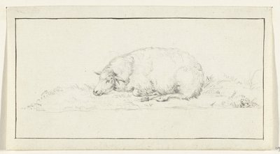 Lying sheep, to the left by Jean Bernard