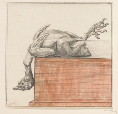Lying Dead Bird, Hanging with Head Down by Jean Bernard