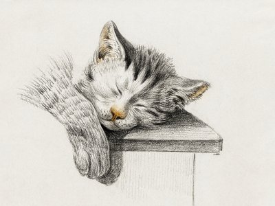 Sketch of a Sleeping Cat by Jean Bernard