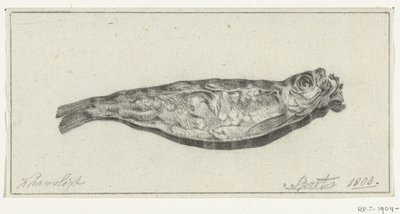 Sprat by Candlelight by Jean Bernard