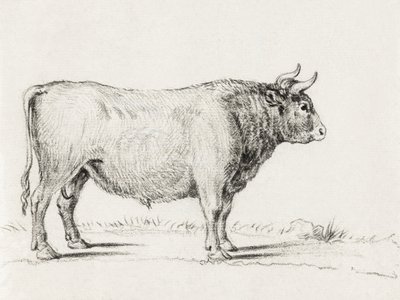 Standing Bull by Jean Bernard