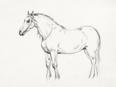 Standing Horse by Jean Bernard