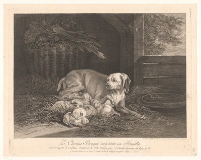 Bracke Dog with Puppies in a Stable by Jean Daullé