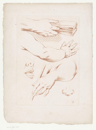 Composition with Arms, Nose, and Part of a Face by Jean Francois Janinet