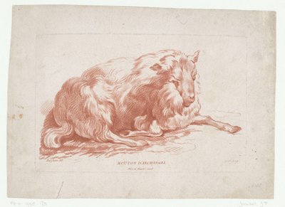Lying Sheep by Jean Francois Janinet