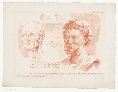 Two Male Heads and Eyes from Different Angles by Jean Francois Janinet