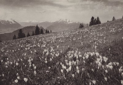 Rigi Kaltbad, Spring by Jean Gaberell