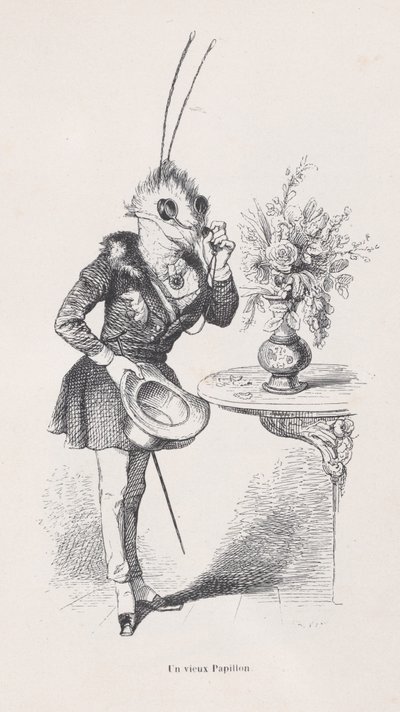 An Old Butterfly from Scenes from the Private and Public Life of Animals by Jean Ignace Isidore Gérard