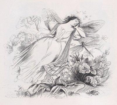The Sylph from The Complete Works of Béranger, 1836 by Jean Ignace Isidore Gérard