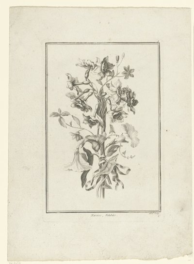 Bouquet of Narcissus and Bindweed, IIe Cahier de Bouquets (series title) by Jean Jacques Avril (I)
