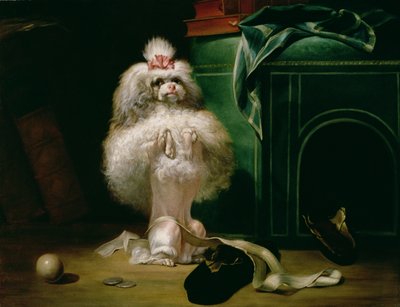 A Dog of the Havannah Breed, 1768 by Jean Jacques Bachelier