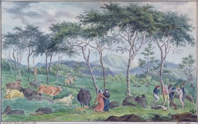 Herd of cattle with cowherds near the river on the east of the Ile de la Reunion, October 1812 by Jean Joseph Patu de Rosemont