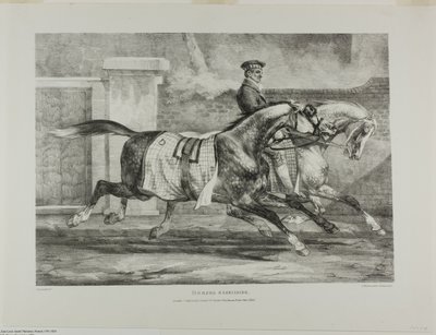 Horses Exercising, plate 6 from Various Subjects Drawn from Life and on Stone (The English Suite) by Jean Louis André Théodore Géricault