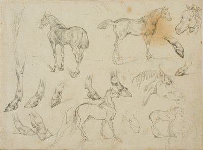Sketches of a Horse by Jean Louis André Théodore Géricault