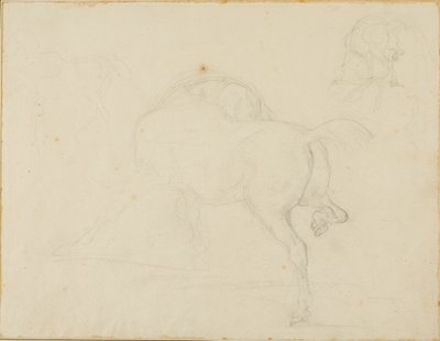 Study of a Horse Turning Its Head and Raising Its Hind Leg by Jean Louis André Théodore Géricault