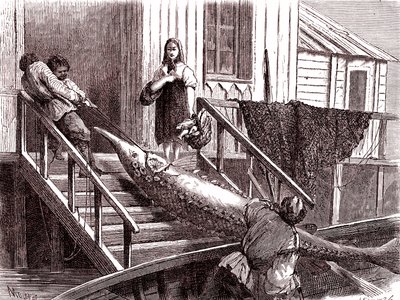 Fishing the Sturgeon on the Volga River, Russia (1867) by Jean Pierre Moynet