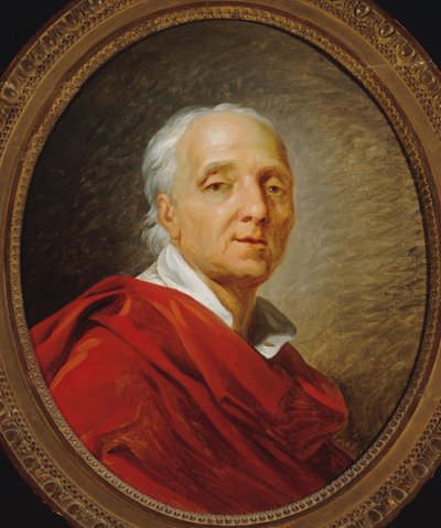 Portrait of Denis Diderot by Jean Simon Berthelemy