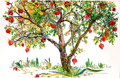 Pomegranate Tree, Monte Sereno by Jean Swan Gordon