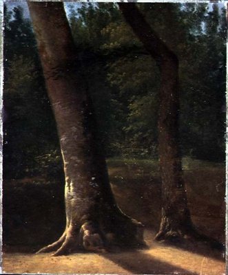 Study of Trees, c.1815 by Jean Victor (attr. to) Bertin