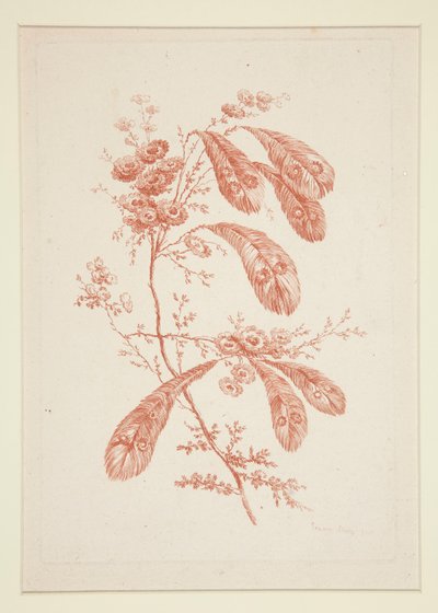 Untitled (Ideal Flowers) by Jeanne Deny