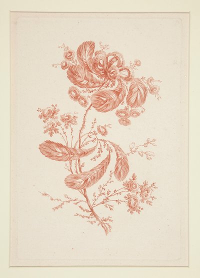 Untitled (Ideal Flowers) by Jeanne Deny