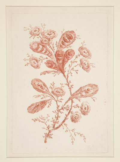Untitled (Ideal Flowers), from a Set of Six by Jeanne Deny