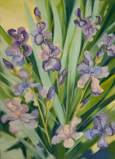 Irises in a Border by Jeanne Maze