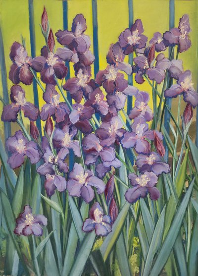 Purple Irises by Jeanne Maze