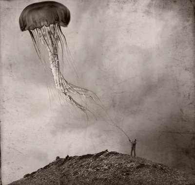 Surreal Jellyfish Kite by Jeffrey Hummel