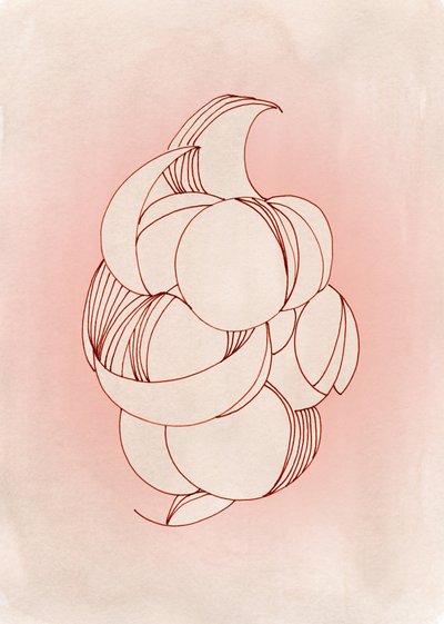 Delicate Petal Forms by Jenja Braun