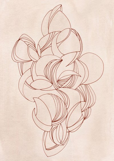 Elegant Flowing Curves by Jenja Braun