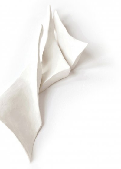 Flowing White Forms by Jenja Braun