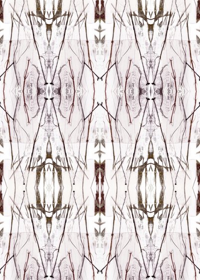 Symmetrical Nature Pattern by Jenja Braun