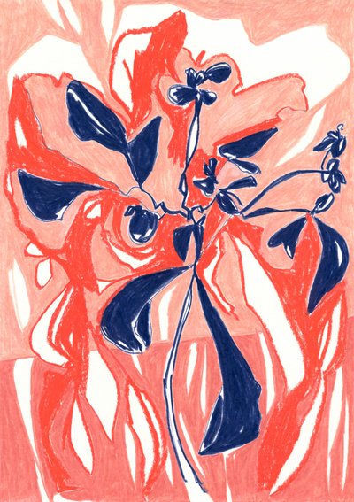 Vibrant Coral Botanicals by Jenja Braun