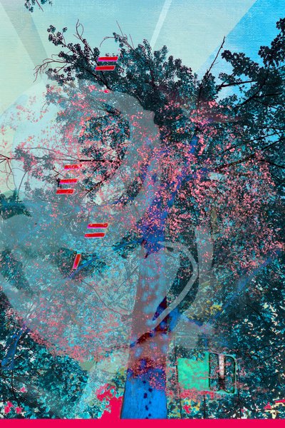 Vibrant Dream Forest by Jenja Braun