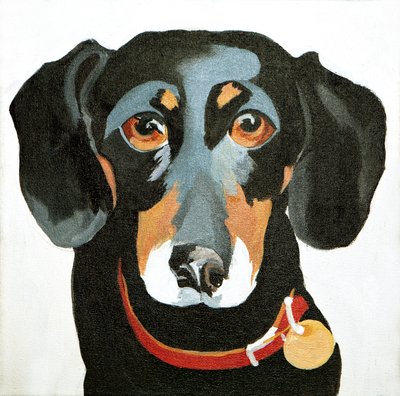 Buster by Jennifer Abbott