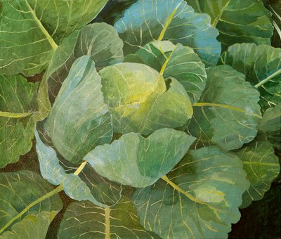 Cabbage (blue), 2014 by Jennifer Abbott