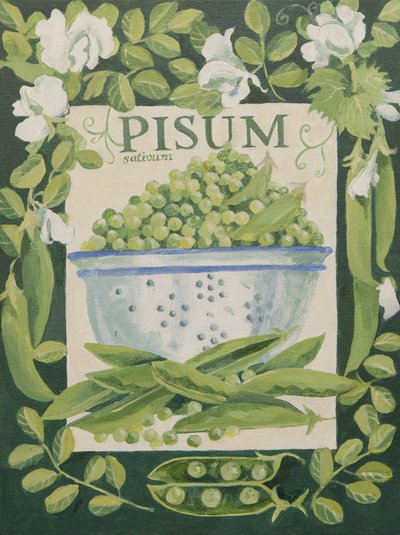 Pisum, Peas by Jennifer Abbott
