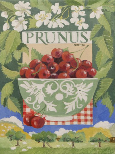 Prunus avium by Jennifer Abbott