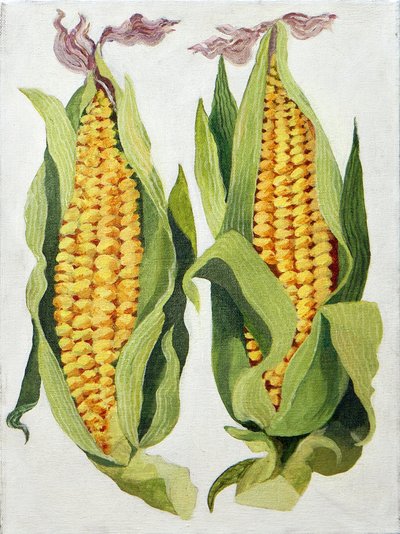 Sweetcorn, 2013 by Jennifer Abbott