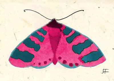 Pink Moth, 2024 by Jenny Frean