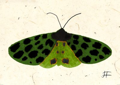 Tiger Moth, 2024 by Jenny Frean