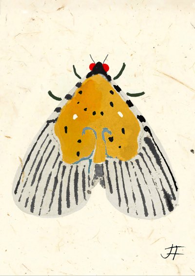 Yellow Moth, 2024 by Jenny Frean
