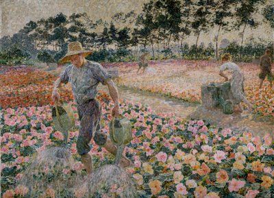 The Begonias (The Gardener) by Jenny Montigny