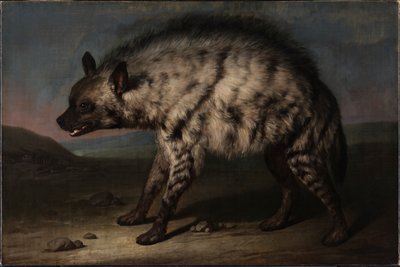 The Hyena in the Menagerie at Frederiksberg Palace by Jens Juel
